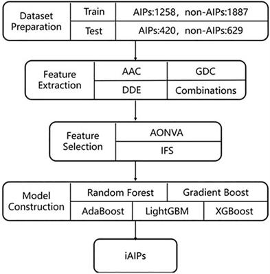 iAIPs: Identifying Anti-Inflammatory Peptides Using Random Forest